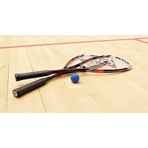 List of Companies Selling Squash & Accessories - Latest Prices 2021 | Indonetwork