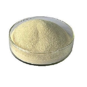 List of Companies Selling Cheap Sodium Alginate | Indonetwork