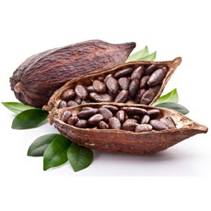 List of Companies Selling Cheap Cacao Bean | Indonetwork