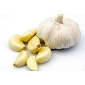 List of Companies Selling Garlic Latest Prices 2021 | Indonetwork