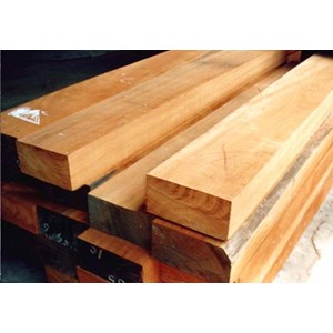Camphor wood