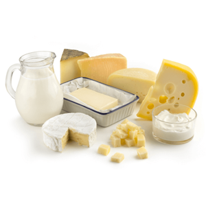 List of Companies Selling Cheap Dairy Products | Indonetwork