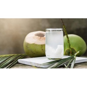 List of Companies Selling Cheap Coconut Water | Indonetwork