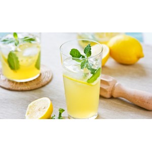 List of Companies Selling Cheap Lemonade | Indonetwork