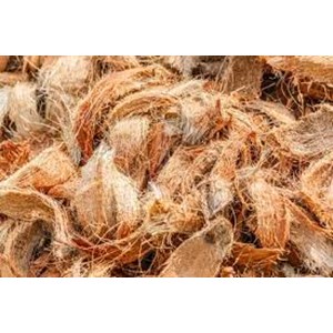 List of Companies Selling Cheap Coconut Fiber | Indonetwork