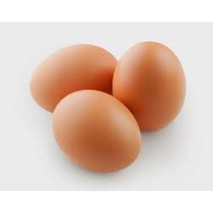List of Companies Selling Cheap Chicken Eggs | Indonetwork