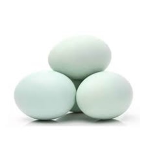 List of Companies Selling Cheap Duck egg | Indonetwork
