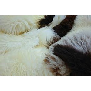 List of Companies Selling Cheap Fleece | Indonetwork