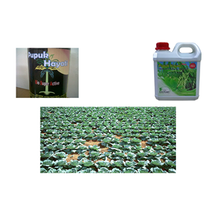 Selling the best price Organic fertiliser from suppliers & distributors
