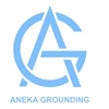 Aneka Grounding