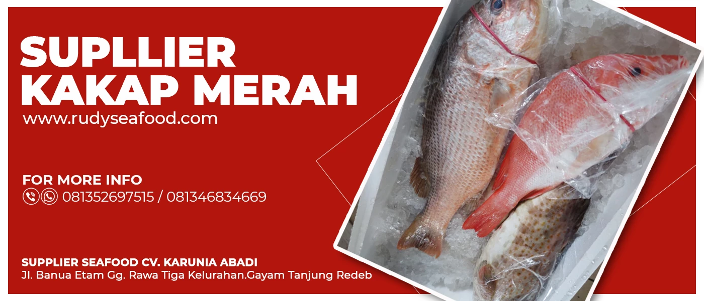 Supplier Seafood CV. Karunia Abadi