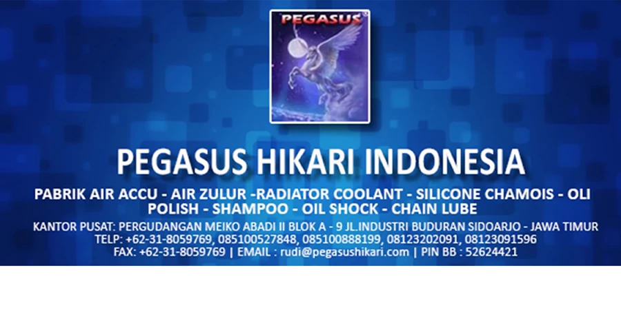 Pegasus Hikari