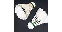 lucky shuttlecock