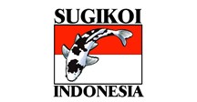 sugi koi