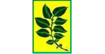 kunia biotecindo