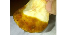 crepcol