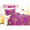 bed sheet & bed cover