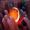 under water