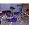 phoniex bikes