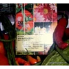 pupuk ( 60 pack) gramafix® sayuran biji [ peas & beans fertilizer]