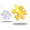 custom software