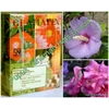 pupuk ( 60 pack) gramafix® tanaman hias bunga ( tahiba)