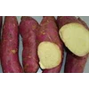 sweet potatoes