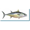 ikan laut dan ikan air tawar