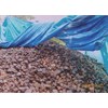 manganese