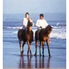 horse ridding, wisata naik kuda menyusuri pantai...