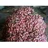 bawang merah asli brebes