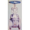 gate valve