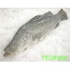 frozen baramundi
