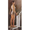 body composition analyzer