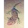 reptil - tokek, ular