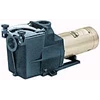 hayward pump
