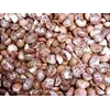betel nut