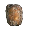 wood fosil