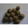 pala / nutmeg