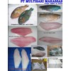 frozen parrotfish