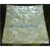 pratama sushi plate (sea shell)