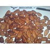 * * * * * supplier cocoa beans / biji kakao* * * * *