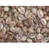 * * * * * supplier kopi arabika dan kopi robusta* * * * *