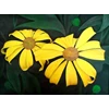 painting gemitir