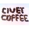 coffee luwak