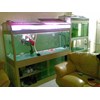 aquarium