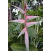 bio waste garden