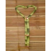 suji/ bambu hoki (lucky bamboo) hs 30