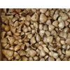 kerang kepa tahu/white clams (live)