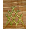 suji/ bambu hoki (lucky bamboo) pr 1825